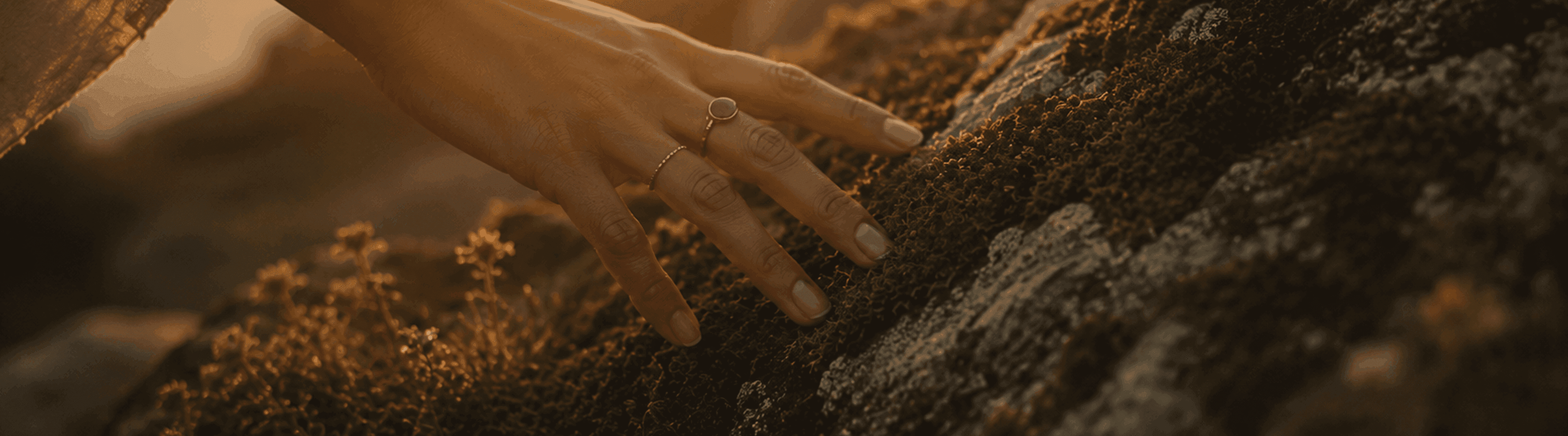 Photo - Een hand met een ring die een met mos bedekte rots aanraakt.