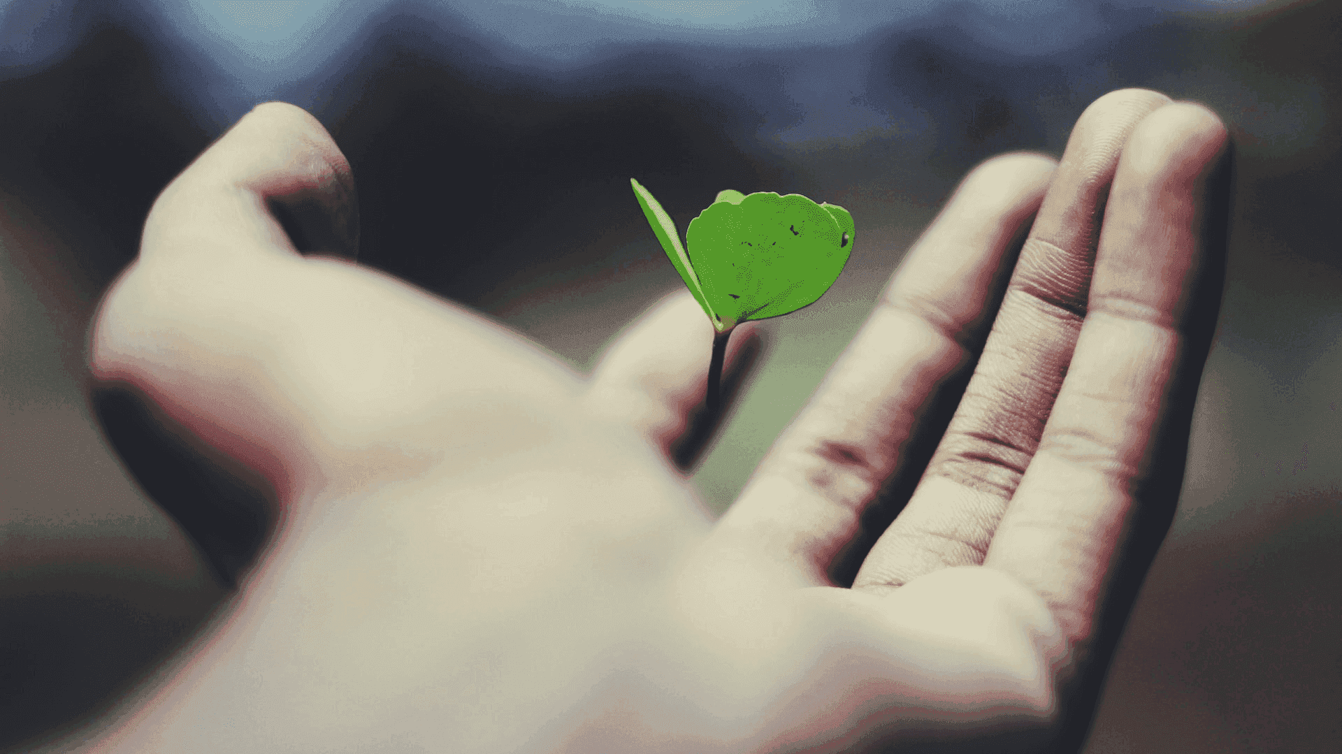 Een tarotlegging voor zelfreflectie over je ware richting, te zien in het artikel op AskNebula Photo - Een tarotlegging voor zelfreflectie over je ware richting, te zien in het artikel op AskNebula